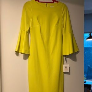 NWT Calvin Klein bell sleeve dress